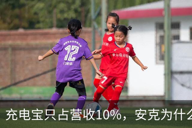 充电宝只占营收10%，安克为什么还要招这么多人？